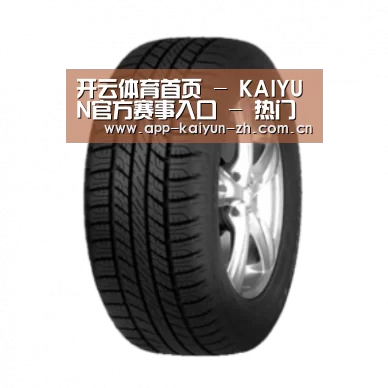 开云体育官网产品名称八