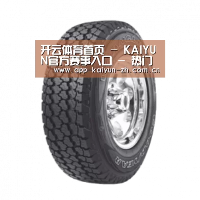 开云体育官网产品名称七