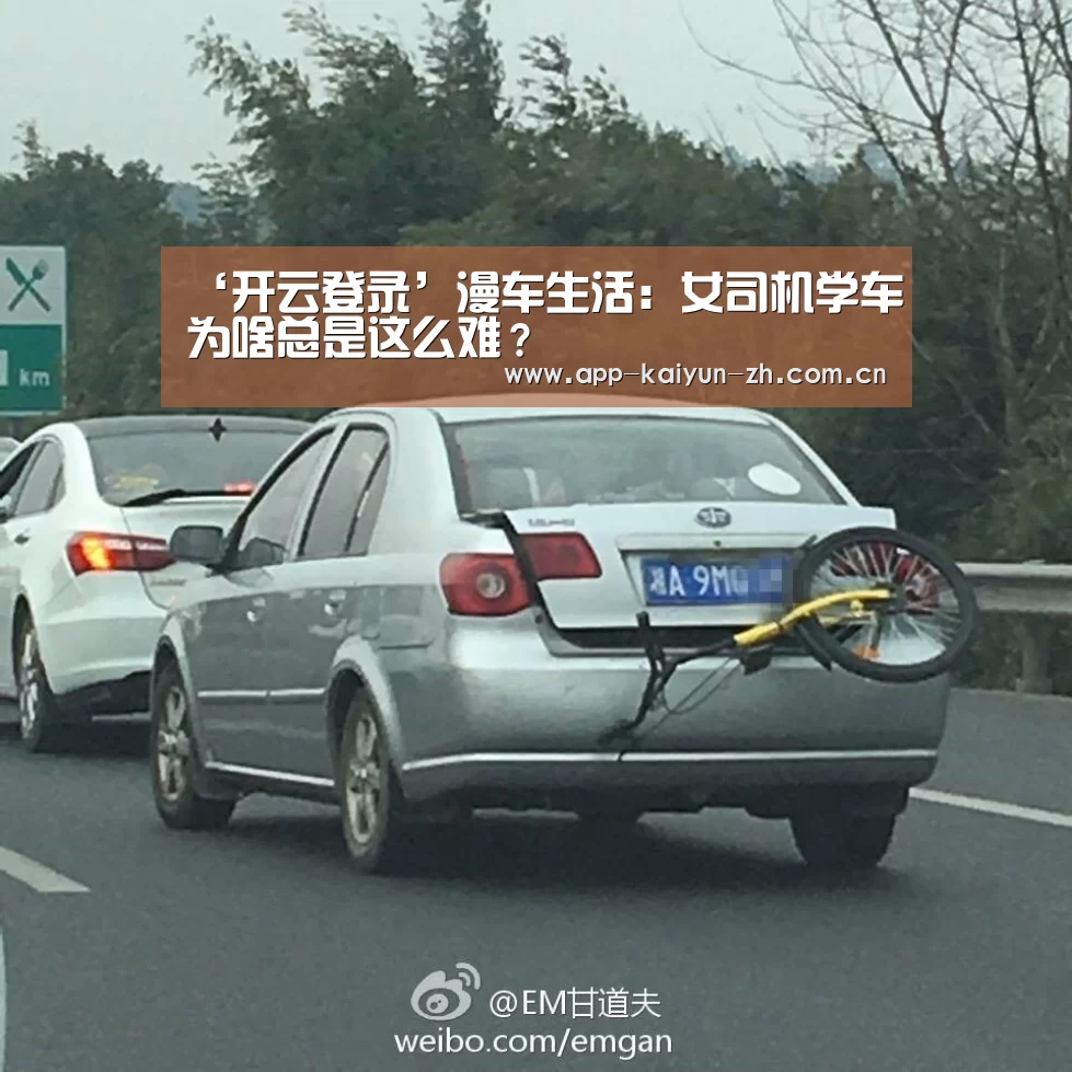 开云体育官网