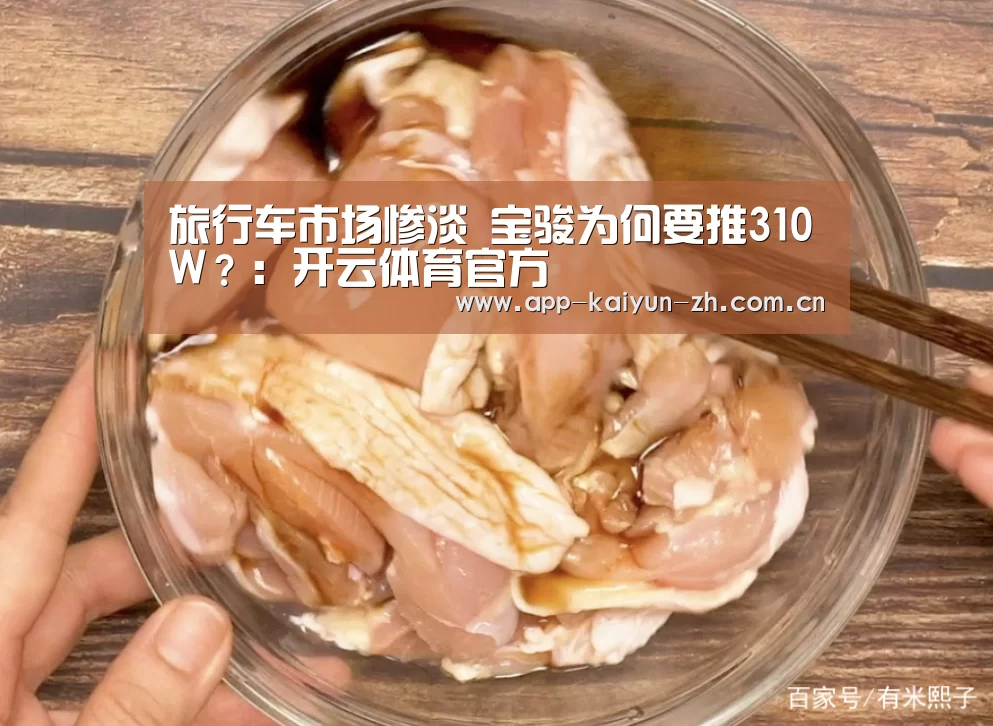 旅行车市场惨淡 宝骏为何要推310W?:开云体育官方(图2) 开云登录