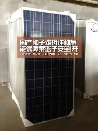 开云登录