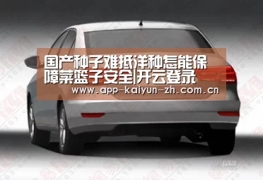 开云体育官网