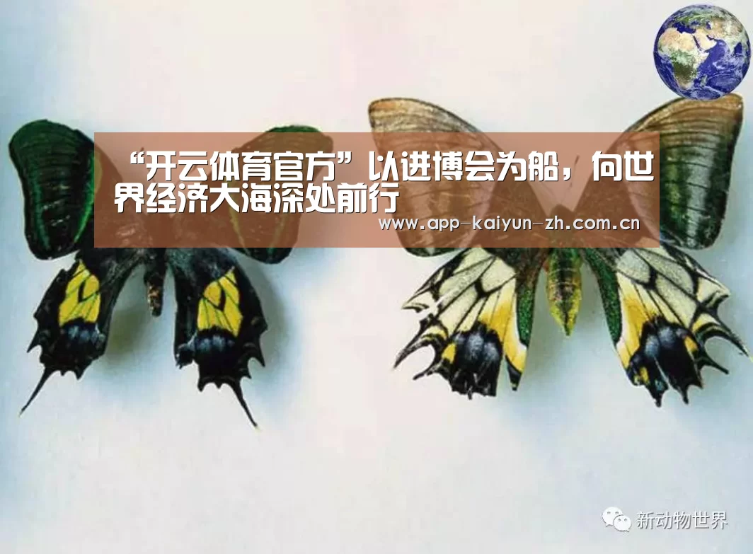 “开云体育官方”以进博会为船,向世界经济大海深处前行(图2) 开云登录
