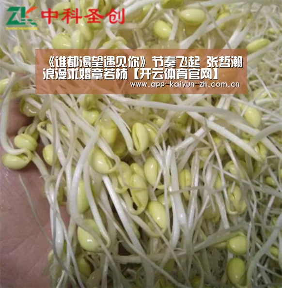 开云体育官网