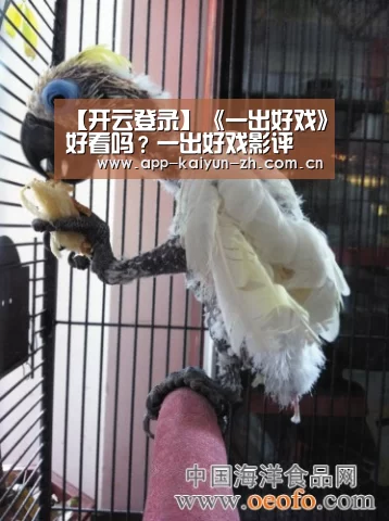 【开云登录】《一出好戏》好看吗?一出好戏影评(图4) 开云体育官网