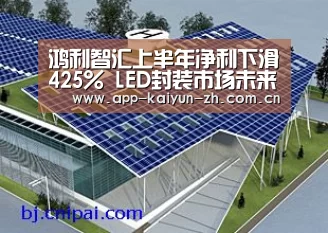 鸿利智汇上半年净利下滑425% LED封装市场未来出路在何方?“开云体育官网”(图1) 开云登录
