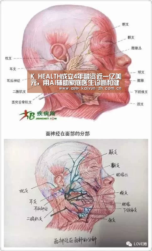K HEALTH成立4年融资近一亿美元,用AI辅助家庭医生诊断和健康管理【开云体育官方】(图2) 开云体育官方