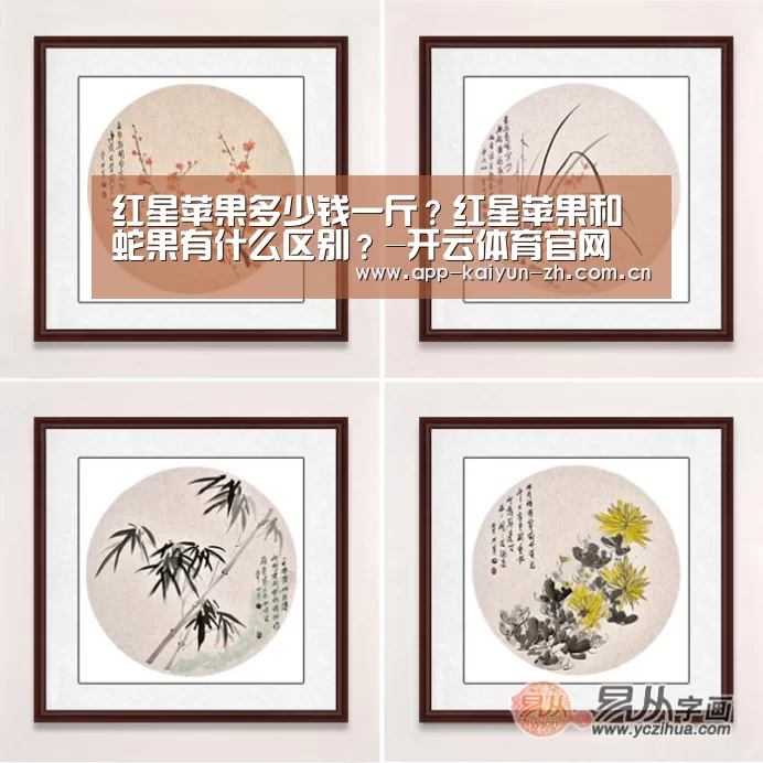 开云体育官方