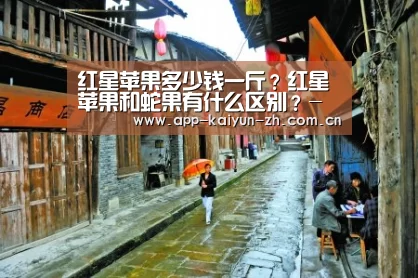 开云体育官方