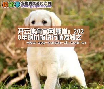 开云体育官方