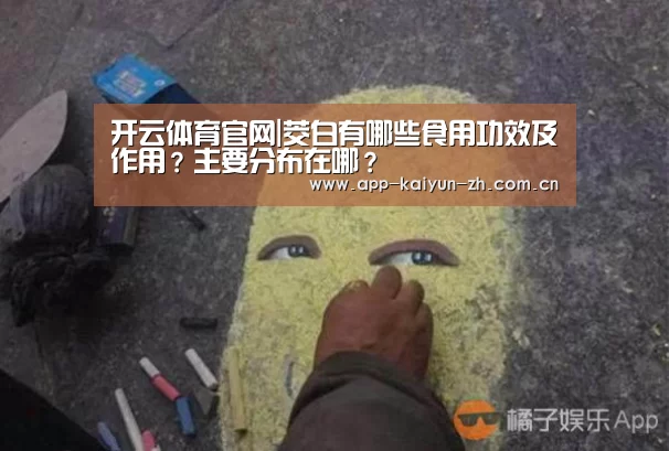 开云体育官网|茭白有哪些食用功效及作用?主要分布在哪?(图1) 开云登录