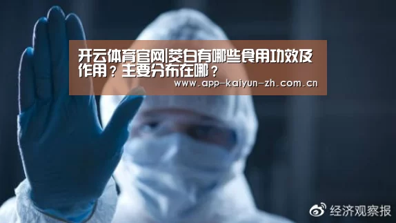 开云体育官网|茭白有哪些食用功效及作用?主要分布在哪?(图4) 开云体育官方