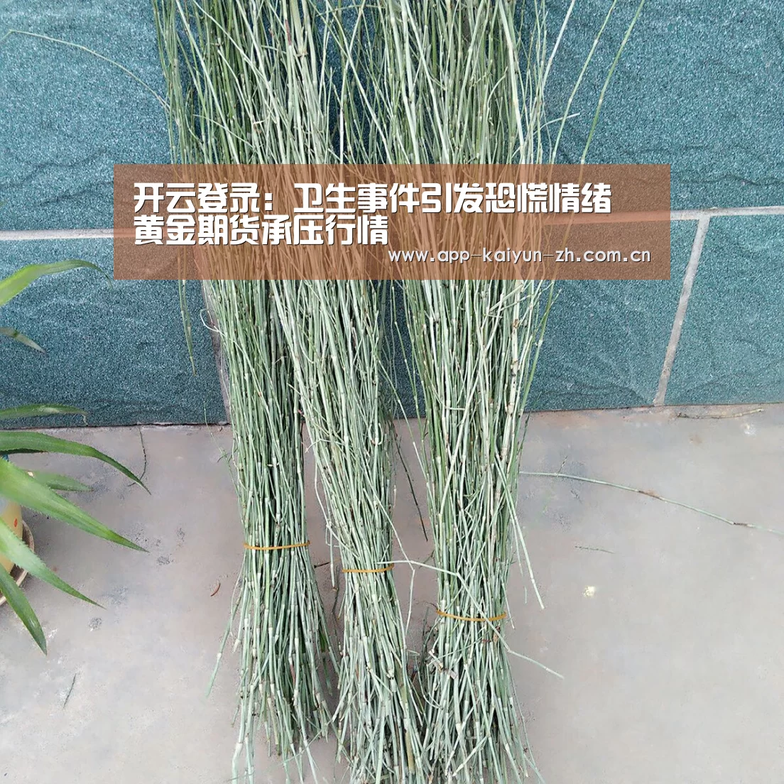 开云登录:卫生事件引发恐慌情绪 黄金期货承压行情(图1) 开云体育官网