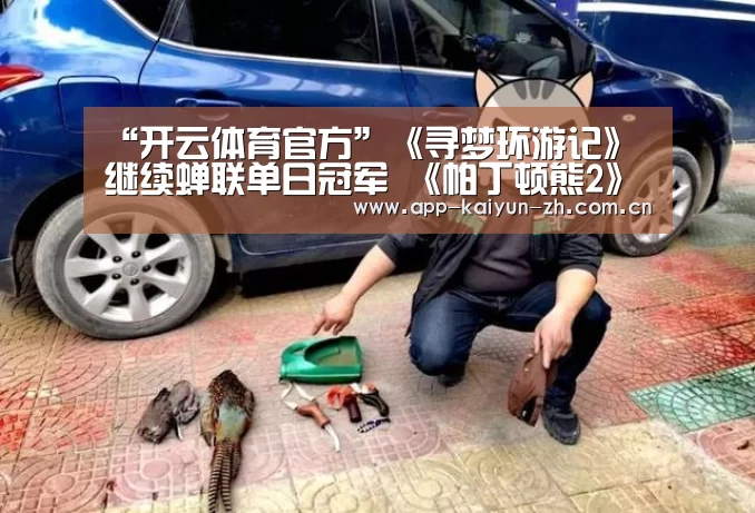 “开云体育官方”《寻梦环游记》继续蝉联单日冠军 《帕丁顿熊2》累计票房超前作(图2) 开云体育官方