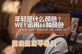 年轻是什么颜色? WEY派用66种颜色来解释_开云体育官方(图1) 开云登录