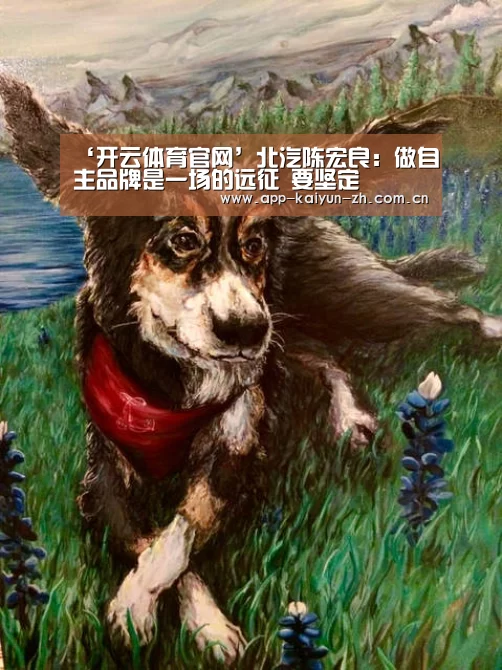 开云登录
