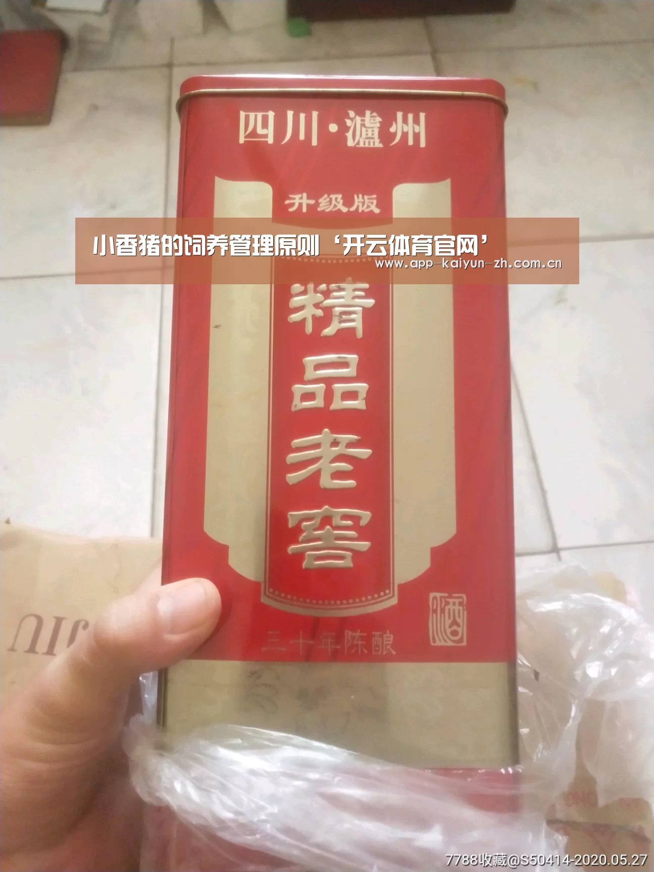 小香猪的饲养管理原则‘开云体育官网’(图1) 开云体育官网